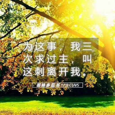 Picture 05 - 哥 林 多 后 书 12:8 CUVS - 为 这 事 ， 我 三 次 求 过 主 ， 叫 - Bible Verse Picture