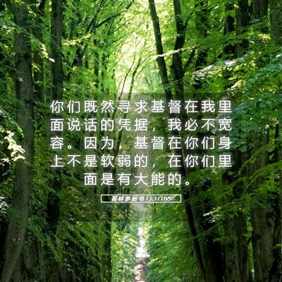 Picture 05 - 哥 林 多 后 书 13:3 CUVS - 你 们 既 然 寻 求 基 督 在 我 里 面 - Bible Verse Picture