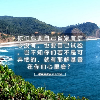 Picture 05 - 哥 林 多 后 书 13:5 CUVS - 你 们 总 要 自 己 省 察 有 信 心 没 - Bible Verse Picture
