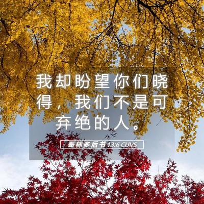 Picture 05 - 哥 林 多 后 书 13:6 CUVS - 我 却 盼 望 你 们 晓 得 ， 我 们 不 - Bible Verse Picture