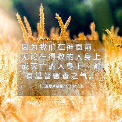 Picture 05 - 哥 林 多 后 书 2:15 CUVS - 因 为 我 们 在 神 面 前 ， 无 论 在 - Bible Verse Picture