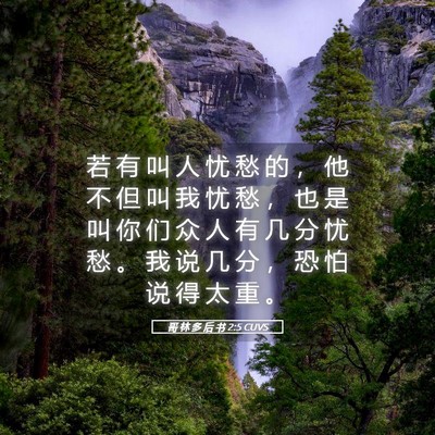 Picture 05 - 哥 林 多 后 书 2:5 CUVS - 若 有 叫 人 忧 愁 的 ， 他 不 但 叫 - Bible Verse Picture