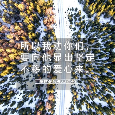 Picture 05 - 哥 林 多 后 书 2:8 CUVS - 所 以 我 劝 你 们 ， 要 向 他 显 出 - Bible Verse Picture