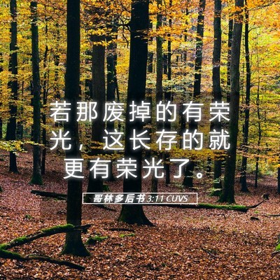 Picture 05 - 哥 林 多 后 书 3:11 CUVS - 若 那 废 掉 的 有 荣 光 ， 这 长 存 - Bible Verse Picture