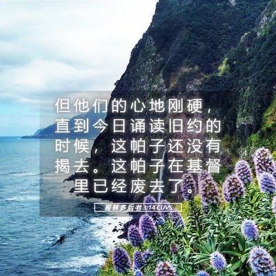 Picture 05 - 哥 林 多 后 书 3:14 CUVS - 但 他 们 的 心 地 刚 硬 ， 直 到 今 - Bible Verse Picture