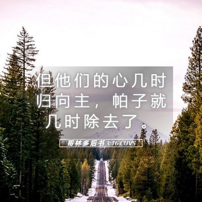 Picture 05 - 哥 林 多 后 书 3:16 CUVS - 但 他 们 的 心 几 时 归 向 主 ， 帕 - Bible Verse Picture