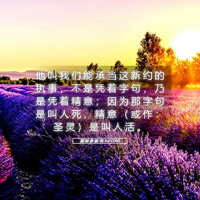Picture 05 - 哥 林 多 后 书 3:6 CUVS - 他 叫 我 们 能 承 当 这 新 约 的 执 - Bible Verse Picture