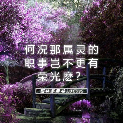 Picture 05 - 哥 林 多 后 书 3:8 CUVS - 何 况 那 属 灵 的 职 事 岂 不 更 有 - Bible Verse Picture