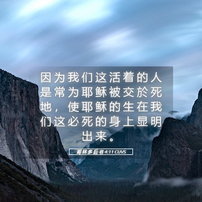 Picture 05 - 哥 林 多 后 书 4:11 CUVS - 因 为 我 们 这 活 着 的 人 是 常 为 - Bible Verse Picture