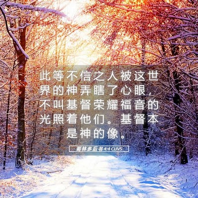 Picture 05 - 哥 林 多 后 书 4:4 CUVS - 此 等 不 信 之 人 被 这 世 界 的 神 - Bible Verse Picture