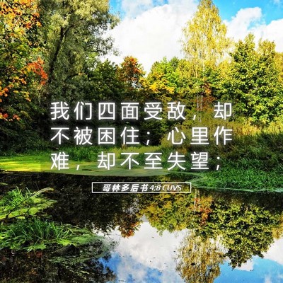 Picture 05 - 哥 林 多 后 书 4:8 CUVS - 我 们 四 面 受 敌 ， 却 不 被 困 住 - Bible Verse Picture
