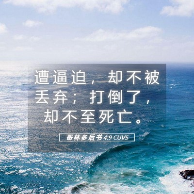 Picture 05 - 哥 林 多 后 书 4:9 CUVS - 遭 逼 迫 ， 却 不 被 丢 弃 ； 打 倒 - Bible Verse Picture
