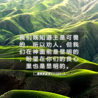 Picture 05 - 哥 林 多 后 书 5:11 CUVS - 我 们 既 知 道 主 是 可 畏 的 ， 所 - Bible Verse Picture