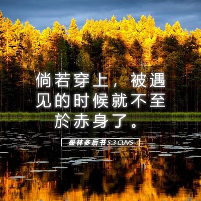 Picture 05 - 哥 林 多 后 书 5:3 CUVS - 倘 若 穿 上 ， 被 遇 见 的 时 候 就 - Bible Verse Picture