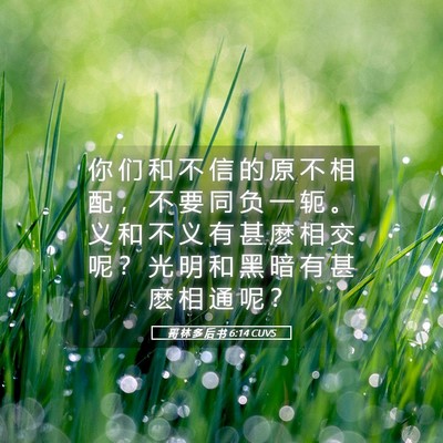 Picture 05 - 哥 林 多 后 书 6:14 CUVS - 你 们 和 不 信 的 原 不 相 配 ， 不 - Bible Verse Picture