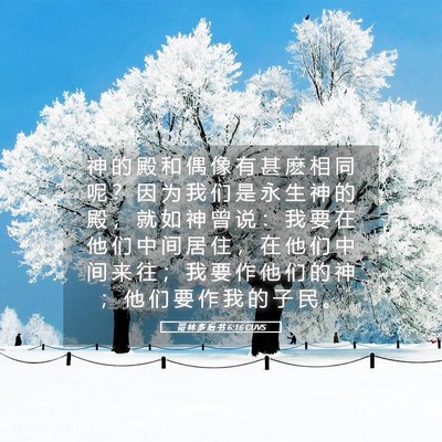 Picture 05 - 哥 林 多 后 书 6:16 CUVS - 神 的 殿 和 偶 像 有 甚 麽 相 同 呢 - Bible Verse Picture