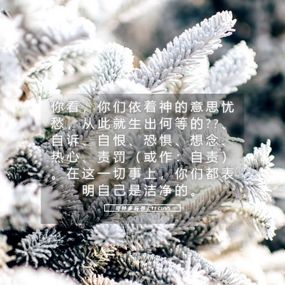 Picture 05 - 哥 林 多 后 书 7:11 CUVS - 你 看 ， 你 们 依 着 神 的 意 思 忧 - Bible Verse Picture