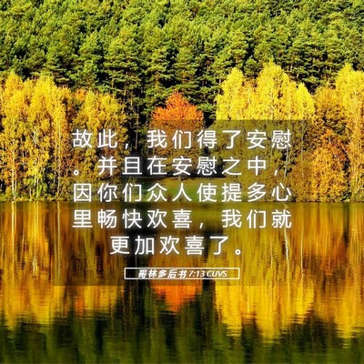 Picture 05 - 哥 林 多 后 书 7:13 CUVS - 故 此 ， 我 们 得 了 安 慰 。 并 且 - Bible Verse Picture
