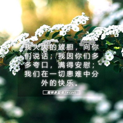 Picture 05 - 哥 林 多 后 书 7:4 CUVS - 我 大 大 的 放 胆 ， 向 你 们 说 话 - Bible Verse Picture