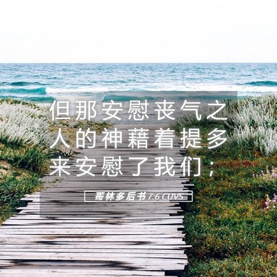Picture 05 - 哥 林 多 后 书 7:6 CUVS - 但 那 安 慰 丧 气 之 人 的 神 藉 着 - Bible Verse Picture