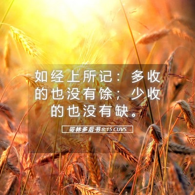 Picture 05 - 哥 林 多 后 书 8:15 CUVS - 如 经 上 所 记 ： 多 收 的 也 没 有 - Bible Verse Picture