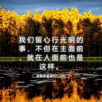 Picture 05 - 哥 林 多 后 书 8:21 CUVS - 我 们 留 心 行 光 明 的 事 ， 不 但 - Bible Verse Picture
