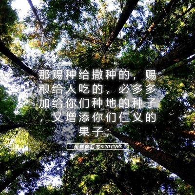 Picture 05 - 哥 林 多 后 书 9:10 CUVS - 那 赐 种 给 撒 种 的 ， 赐 粮 给 人 - Bible Verse Picture