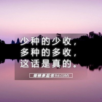 Picture 05 - 哥 林 多 后 书 9:6 CUVS - 少 种 的 少 收 ， 多 种 的 多 收 ， - Bible Verse Picture