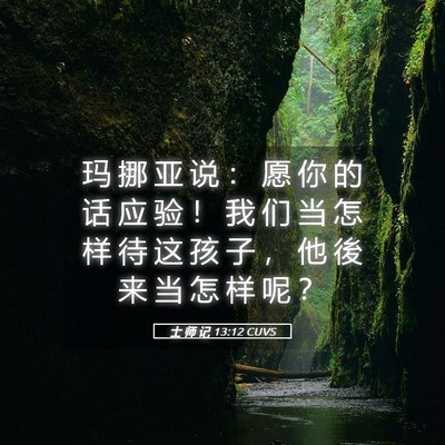 Picture 05 - 士 师 记 13:12 CUVS - 玛 挪 亚 说 ： 愿 你 的 话 应 验 ！ - Bible Verse Picture