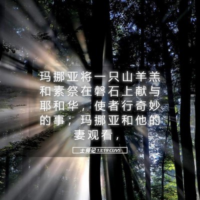 Picture 05 - 士 师 记 13:19 CUVS - 玛 挪 亚 将 一 只 山 羊 羔 和 素 祭 - Bible Verse Picture