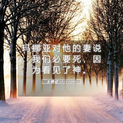 Picture 05 - 士 师 记 13:22 CUVS - 玛 挪 亚 对 他 的 妻 说 ： 我 们 必 - Bible Verse Picture