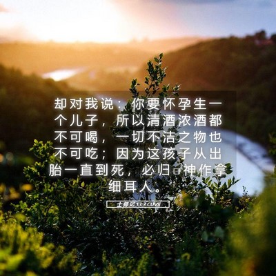 Picture 05 - 士 师 记 13:7 CUVS - 却 对 我 说 ： 你 要 怀 孕 生 一 个 - Bible Verse Picture