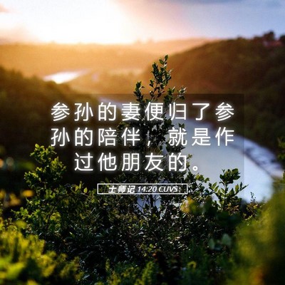 Picture 05 - 士 师 记 14:20 CUVS - 参 孙 的 妻 便 归 了 参 孙 的 陪 伴 - Bible Verse Picture