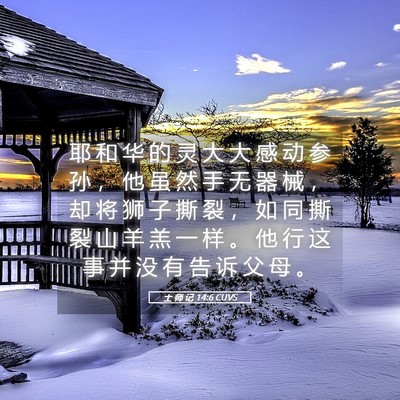 Picture 05 - 士 师 记 14:6 CUVS - 耶 和 华 的 灵 大 大 感 动 参 孙 ， - Bible Verse Picture