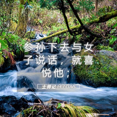 Picture 05 - 士 师 记 14:7 CUVS - 参 孙 下 去 与 女 子 说 话 ， 就 喜 - Bible Verse Picture