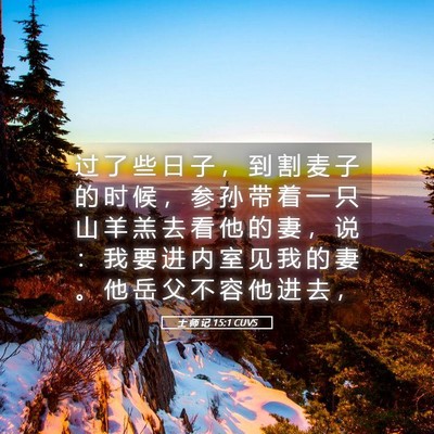 Picture 05 - 士 师 记 15:1 CUVS - 过 了 些 日 子 ， 到 割 麦 子 的 时 - Bible Verse Picture