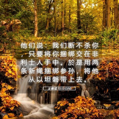 Picture 05 - 士 师 记 15:13 CUVS - 他 们 说 ： 我 们 断 不 杀 你 ， 只 - Bible Verse Picture