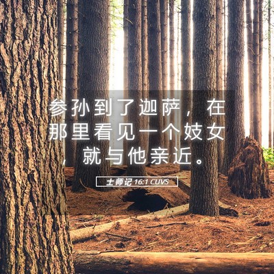 Picture 05 - 士 师 记 16:1 CUVS - 参 孙 到 了 迦 萨 ， 在 那 里 看 见 - Bible Verse Picture