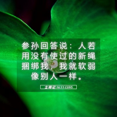 Picture 05 - 士 师 记 16:11 CUVS - 参 孙 回 答 说 ： 人 若 用 没 有 使 - Bible Verse Picture