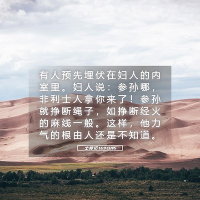 Picture 05 - 士 师 记 16:9 CUVS - 有 人 预 先 埋 伏 在 妇 人 的 内 室 - Bible Verse Picture