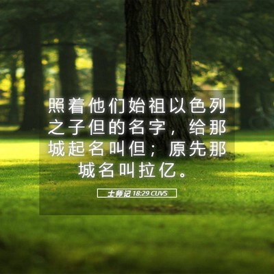 Picture 05 - 士 师 记 18:29 CUVS - 照 着 他 们 始 祖 以 色 列 之 子 但 - Bible Verse Picture
