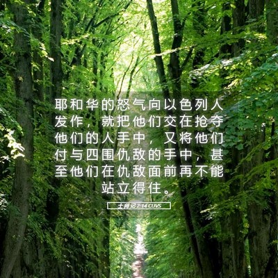 Picture 05 - 士 师 记 2:14 CUVS - 耶 和 华 的 怒 气 向 以 色 列 人 发 - Bible Verse Picture