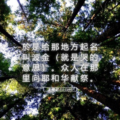 Picture 05 - 士 师 记 2:5 CUVS - 於 是 给 那 地 方 起 名 叫 波 金 （ - Bible Verse Picture
