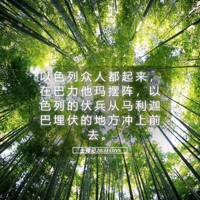 Picture 05 - 士 师 记 20:33 CUVS - 以 色 列 众 人 都 起 来 ， 在 巴 力 - Bible Verse Picture