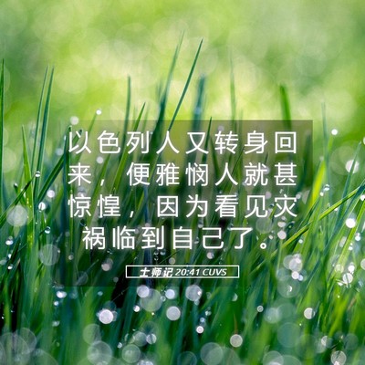 Picture 05 - 士 师 记 20:41 CUVS - 以 色 列 人 又 转 身 回 来 ， 便 雅 - Bible Verse Picture