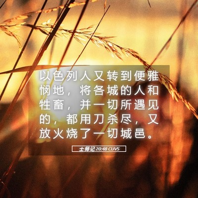 Picture 05 - 士 师 记 20:48 CUVS - 以 色 列 人 又 转 到 便 雅 悯 地 ， - Bible Verse Picture
