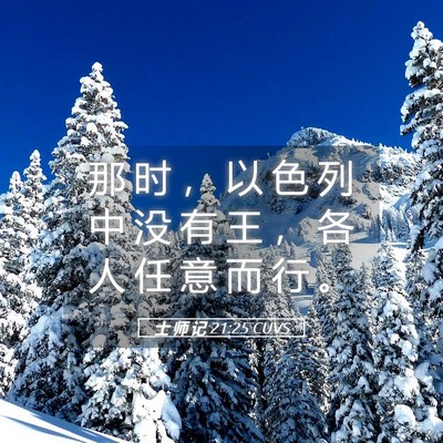 Picture 05 - 士 师 记 21:25 CUVS - 那 时 ， 以 色 列 中 没 有 王 ， 各 - Bible Verse Picture