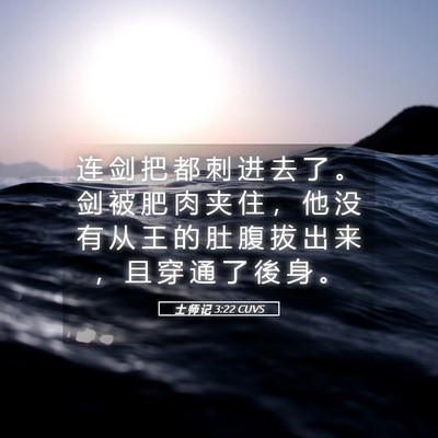 Picture 05 - 士 师 记 3:22 CUVS - 连 剑 把 都 刺 进 去 了 。 剑 被 肥 - Bible Verse Picture