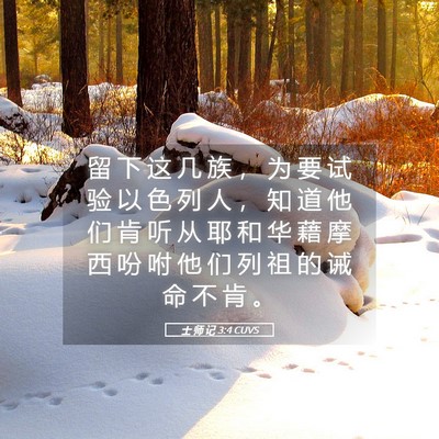 Picture 05 - 士 师 记 3:4 CUVS - 留 下 这 几 族 ， 为 要 试 验 以 色 - Bible Verse Picture