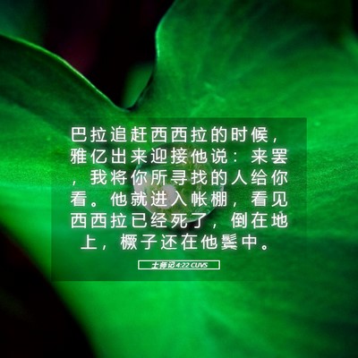 Picture 05 - 士 师 记 4:22 CUVS - 巴 拉 追 赶 西 西 拉 的 时 候 ， 雅 - Bible Verse Picture